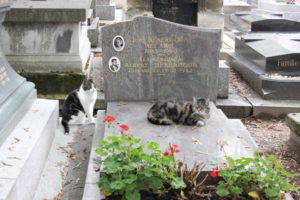 Cats at Montmartre Cemetery, Paris